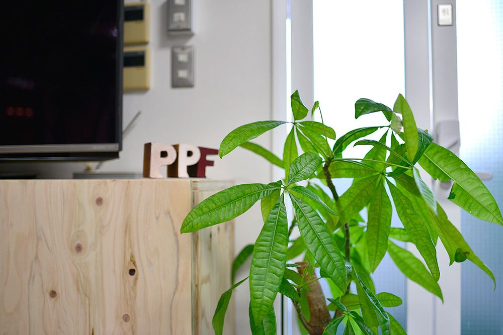 pp52 Creative Office③
